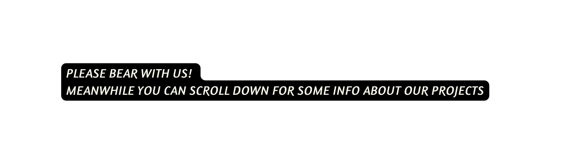 please bear with us meanwhile you can scroll down for some info about our projects